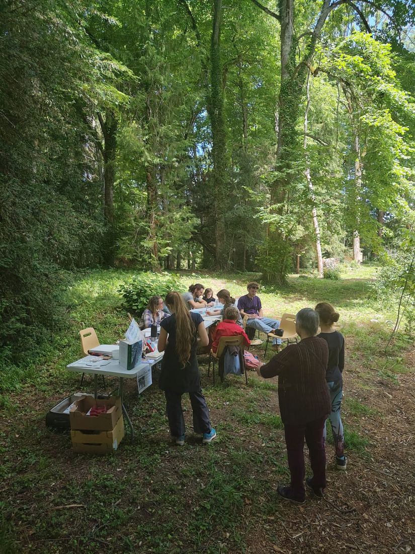 Forêt au départ de l'hostel